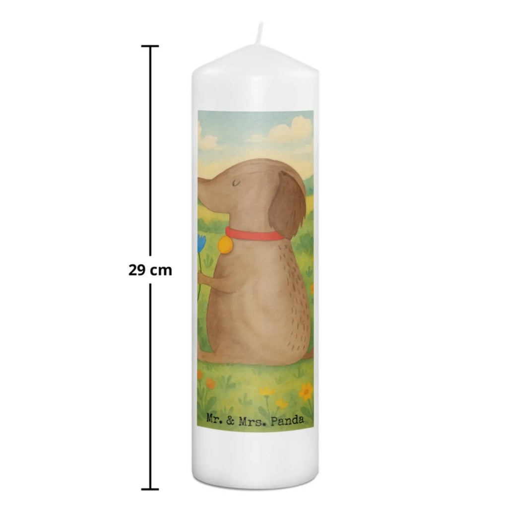 Kerze Hund Blume Design Kerze Mit Gravur, Gedenkkerze, Stumpenkerze, Outdoor-Kerze, Trauerkerze, Laternenkerze, Grablicht, Andachtskerze, Streukerze, Kerze Mit Fotoeinleger, Tischkerze, Stumpenkerzen-Set, Votivkerze, Dinnerkerze, Stabkerze, Bio-Kerze, Dinnerkerzenpaar, Duftkerze, Kerze Mit Prägung, Grabkerze, Kerze Ohne Duft, Tafelkerze, Teelicht, Glas-Kerze, Blockkerze, Kerze Für Firmung, Kerze Mit Motiv, Metall-Kerze, Kerze Für Ostern, Kerze Mit Namensgravur, Kerze Für Geburtstag, Kerze Für Weihnachten, Kerze Als Gastgeschenk, Kerze Für Advent, Handgemachte Kerze, Handgegossene Kerze, Kerze, Stearin­kerze, Kerze Für Taufe, Kerze Mit Duft, Kerze Für Hochzeit, Kerze Für Kommunion, Sojawachskerze, Fair-Trade-Kerze, Kerze Mit Spruch, Gartenkerze, Hund, Hundemotiv, Haustier, Hunderasse, Tierliebhaber, Hundebesitzer, Sprüche, Frauchen, Hundeliebe, Hunde