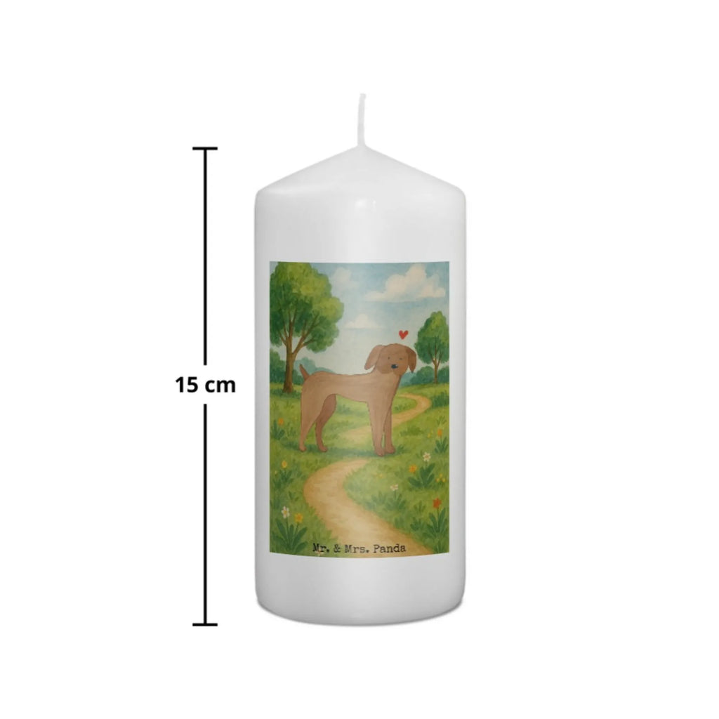 Kerze Hund Dogge Design Grabkerze, Stumpenkerzen-Set, Kerze Für Firmung, Dinnerkerze, Kerze Für Kommunion, Stearin­kerze, Grablicht, Kerze Mit Prägung, Sojawachskerze, Votivkerze, Bio-Kerze, Andachtskerze, Kerze, Gartenkerze, Kerze Mit Spruch, Kerze Mit Fotoeinleger, Kerze Mit Duft, Duftkerze, Tafelkerze, Kerze Für Ostern, Stabkerze, Trauerkerze, Kerze Für Weihnachten, Kerze Mit Gravur, Kerze Ohne Duft, Kerze Für Taufe, Kerze Für Advent, Outdoor-Kerze, Gedenkkerze, Kerze Mit Namensgravur, Handgemachte Kerze, Kerze Für Geburtstag, Blockkerze, Stumpenkerze, Streukerze, Laternenkerze, Kerze Für Hochzeit, Teelicht, Metall-Kerze, Handgegossene Kerze, Dinnerkerzenpaar, Kerze Als Gastgeschenk, Kerze Mit Motiv, Tischkerze, Glas-Kerze, Fair-Trade-Kerze, Hund, Hundemotiv, Haustier, Hunderasse, Tierliebhaber, Hundebesitzer, Sprüche, Great Dane, Deutsche Dogge, Hunde, Dogge