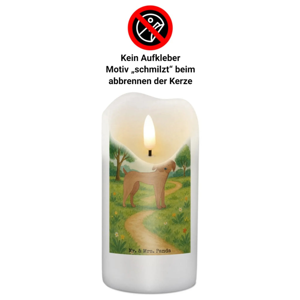 Kerze Hund Dogge Design Grabkerze, Stumpenkerzen-Set, Kerze Für Firmung, Dinnerkerze, Kerze Für Kommunion, Stearin­kerze, Grablicht, Kerze Mit Prägung, Sojawachskerze, Votivkerze, Bio-Kerze, Andachtskerze, Kerze, Gartenkerze, Kerze Mit Spruch, Kerze Mit Fotoeinleger, Kerze Mit Duft, Duftkerze, Tafelkerze, Kerze Für Ostern, Stabkerze, Trauerkerze, Kerze Für Weihnachten, Kerze Mit Gravur, Kerze Ohne Duft, Kerze Für Taufe, Kerze Für Advent, Outdoor-Kerze, Gedenkkerze, Kerze Mit Namensgravur, Handgemachte Kerze, Kerze Für Geburtstag, Blockkerze, Stumpenkerze, Streukerze, Laternenkerze, Kerze Für Hochzeit, Teelicht, Metall-Kerze, Handgegossene Kerze, Dinnerkerzenpaar, Kerze Als Gastgeschenk, Kerze Mit Motiv, Tischkerze, Glas-Kerze, Fair-Trade-Kerze, Hund, Hundemotiv, Haustier, Hunderasse, Tierliebhaber, Hundebesitzer, Sprüche, Great Dane, Deutsche Dogge, Hunde, Dogge