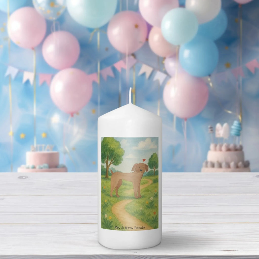 Kerze Hund Dogge Design Grabkerze, Stumpenkerzen-Set, Kerze Für Firmung, Dinnerkerze, Kerze Für Kommunion, Stearin­kerze, Grablicht, Kerze Mit Prägung, Sojawachskerze, Votivkerze, Bio-Kerze, Andachtskerze, Kerze, Gartenkerze, Kerze Mit Spruch, Kerze Mit Fotoeinleger, Kerze Mit Duft, Duftkerze, Tafelkerze, Kerze Für Ostern, Stabkerze, Trauerkerze, Kerze Für Weihnachten, Kerze Mit Gravur, Kerze Ohne Duft, Kerze Für Taufe, Kerze Für Advent, Outdoor-Kerze, Gedenkkerze, Kerze Mit Namensgravur, Handgemachte Kerze, Kerze Für Geburtstag, Blockkerze, Stumpenkerze, Streukerze, Laternenkerze, Kerze Für Hochzeit, Teelicht, Metall-Kerze, Handgegossene Kerze, Dinnerkerzenpaar, Kerze Als Gastgeschenk, Kerze Mit Motiv, Tischkerze, Glas-Kerze, Fair-Trade-Kerze, Hund, Hundemotiv, Haustier, Hunderasse, Tierliebhaber, Hundebesitzer, Sprüche, Great Dane, Deutsche Dogge, Hunde, Dogge