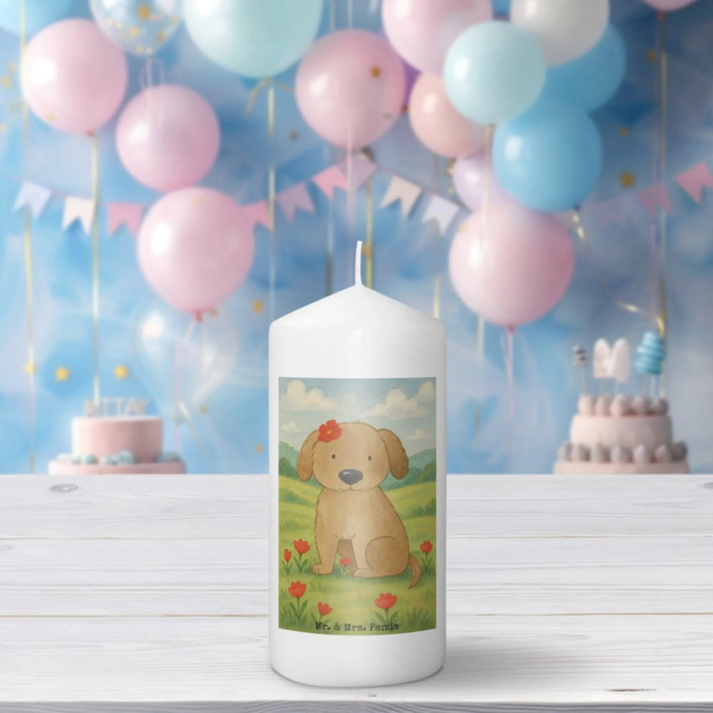 Kerze Hund Dame Design Kerze Mit Prägung, Votivkerze, Blockkerze, Teelicht, Tischkerze, Kerze Für Kommunion, Kerze Als Gastgeschenk, Handgemachte Kerze, Kerze Für Hochzeit, Stabkerze, Trauerkerze, Outdoor-Kerze, Gartenkerze, Streukerze, Kerze Mit Duft, Sojawachskerze, Kerze Mit Spruch, Grablicht, Glas-Kerze, Stearin­kerze, Bio-Kerze, Dinnerkerzenpaar, Kerze Für Firmung, Kerze Mit Fotoeinleger, Kerze Für Weihnachten, Grabkerze, Kerze Für Ostern, Kerze Mit Gravur, Fair-Trade-Kerze, Stumpenkerzen-Set, Kerze, Kerze Ohne Duft, Gedenkkerze, Kerze Mit Motiv, Metall-Kerze, Kerze Für Geburtstag, Tafelkerze, Kerze Für Advent, Handgegossene Kerze, Laternenkerze, Stumpenkerze, Kerze Für Taufe, Dinnerkerze, Andachtskerze, Kerze Mit Namensgravur, Duftkerze, Hund, Hundemotiv, Haustier, Hunderasse, Tierliebhaber, Hundebesitzer, Sprüche, Liebe, Hundeliebe, Hundeglück, Hunde, Frauchen