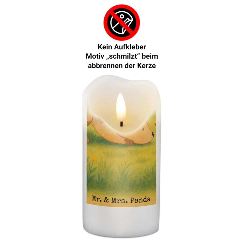 Kerze Hund Marienkäfer Design Kerze Für Advent, Kerze Mit Motiv, Kerze Für Hochzeit, Kerze Mit Gravur, Kerze Für Firmung, Stumpenkerze, Metall-Kerze, Handgemachte Kerze, Andachtskerze, Kerze Für Kommunion, Dinnerkerze, Kerze Mit Prägung, Kerze Für Taufe, Dinnerkerzenpaar, Grabkerze, Fair-Trade-Kerze, Teelicht, Kerze Für Geburtstag, Tischkerze, Outdoor-Kerze, Kerze Mit Duft, Stabkerze, Kerze Für Weihnachten, Stumpenkerzen-Set, Duftkerze, Trauerkerze, Glas-Kerze, Bio-Kerze, Gartenkerze, Kerze, Kerze Ohne Duft, Blockkerze, Votivkerze, Kerze Mit Namensgravur, Kerze Als Gastgeschenk, Grablicht, Kerze Mit Spruch, Laternenkerze, Tafelkerze, Kerze Für Ostern, Sojawachskerze, Kerze Mit Fotoeinleger, Gedenkkerze, Streukerze, Stearin­kerze, Handgegossene Kerze, Hund, Hundemotiv, Haustier, Hunderasse, Tierliebhaber, Hundebesitzer, Sprüche, Mischlinghund, Hunde, Mischling, Marienkäfer, Hundespruch