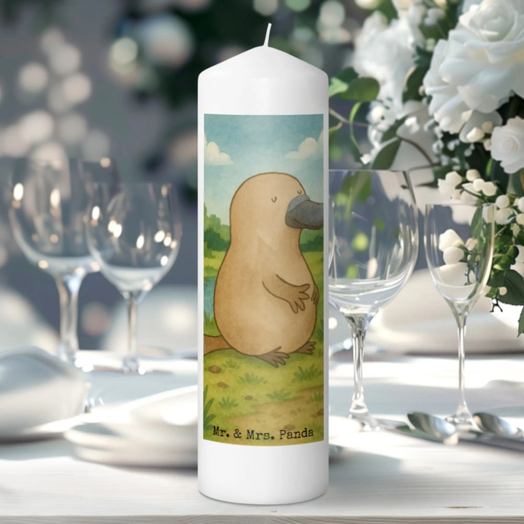 Kerze Schnabeltier Mut Design Stumpenkerze, Kerze Mit Spruch, Kerze Mit Namensgravur, Metall-Kerze, Kerze Für Geburtstag, Dinnerkerze, Kerze Mit Motiv, Laternenkerze, Duftkerze, Grabkerze, Andachtskerze, Trauerkerze, Kerze, Kerze Für Kommunion, Gartenkerze, Outdoor-Kerze, Stumpenkerzen-Set, Kerze Für Firmung, Kerze Für Weihnachten, Kerze Für Advent, Tafelkerze, Kerze Für Hochzeit, Kerze Mit Duft, Handgemachte Kerze, Kerze Mit Fotoeinleger, Kerze Mit Prägung, Blockkerze, Grablicht, Kerze Ohne Duft, Kerze Für Taufe, Teelicht, Sojawachskerze, Fair-Trade-Kerze, Kerze Mit Gravur, Dinnerkerzenpaar, Stabkerze, Glas-Kerze, Tischkerze, Gedenkkerze, Kerze Für Ostern, Votivkerze, Kerze Als Gastgeschenk, Stearin­kerze, Handgegossene Kerze, Bio-Kerze, Streukerze, Meerestiere, Meer, Urlaub, mutig, Neustart, Lebensweisheit, Mut, Arbeit, Neuanfang, Schnabeltiere, Schnabeltier, Büro, Motivation, Weltreise, Training, Raodtrip