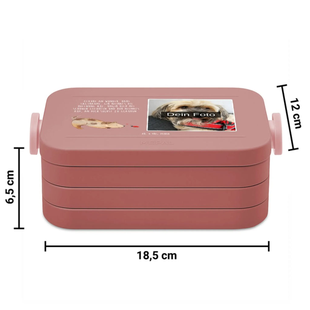 MEPAL Foto Bentobox Hund Marienkäfer Foto Bentobox, Foto Lunchbox, Foto Brotdose, Hund, Hundemotiv, Haustier, Hunderasse, Tierliebhaber, Hundebesitzer, Sprüche, Marienkäfer, Hundespruch, Hunde, Mischling, Mischlinghund