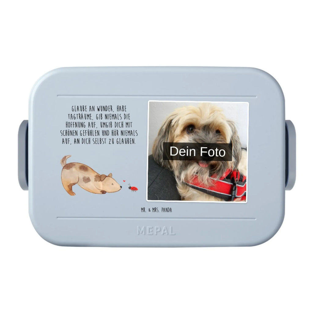 MEPAL Foto Bentobox Hund Marienkäfer Foto Bentobox, Foto Lunchbox, Foto Brotdose, Hund, Hundemotiv, Haustier, Hunderasse, Tierliebhaber, Hundebesitzer, Sprüche, Marienkäfer, Hundespruch, Hunde, Mischling, Mischlinghund