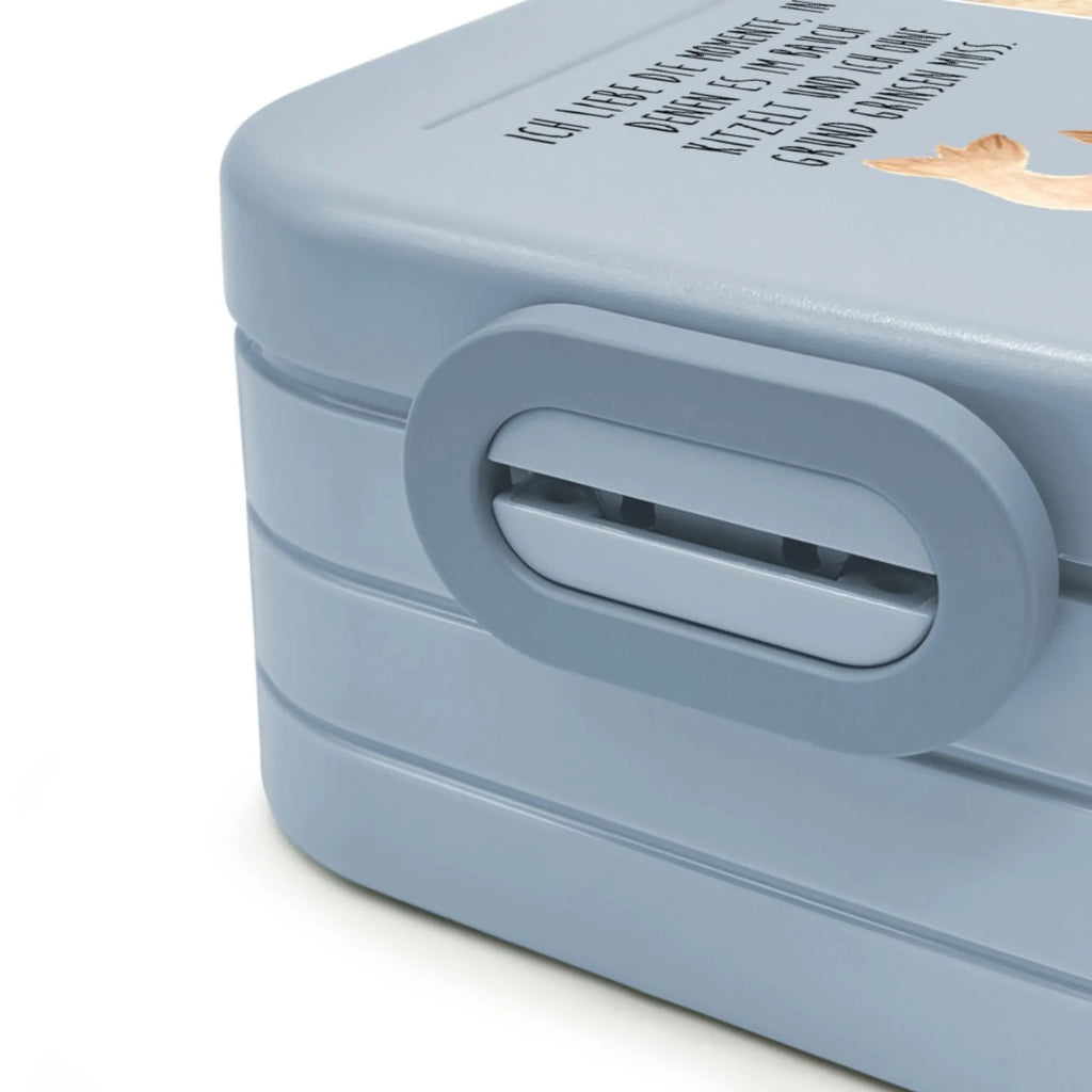 MEPAL Foto Bentobox Robbe Liegen Foto Bentobox, Foto Brotdose, Foto Lunchbox, Tiermotive, Gute Laune, lustige Sprüche, Tiere, Seehund, Strand, Robbe, Robben, Freude, Lachen, Nordsee, Meerestier, Ostsee