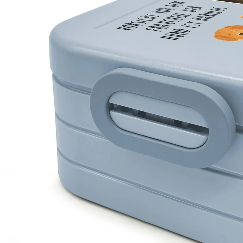 MEPAL Foto Bentobox Hund Flauschig Foto Brotdose, Foto Lunchbox, Foto Bentobox, Hund, Hundemotiv, Haustier, Hunderasse, Tierliebhaber, Hundebesitzer, Sprüche, Hunde, Hundeliebe, Hundemama, Frauchen