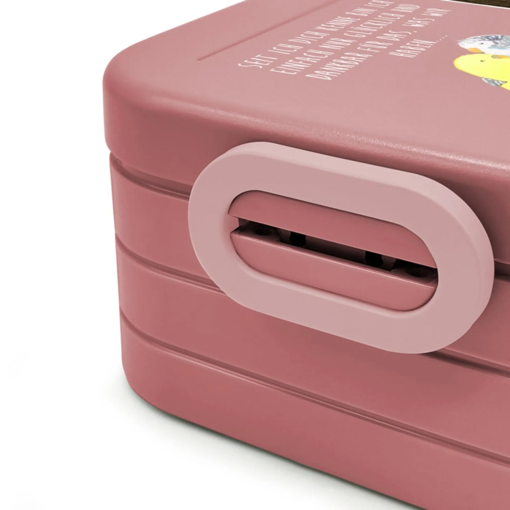 MEPAL Foto Bentobox Wellensittich Liebe Foto Bentobox, Foto Lunchbox, Foto Brotdose, Liebe, Partner, Freund, Freundin, Ehemann, Ehefrau, Heiraten, Verlobung, Heiratsantrag, Liebesgeschenk, Jahrestag, Hocheitstag, Vögel, Vertrauen, Nähe, Wellensittich, Kuscheln