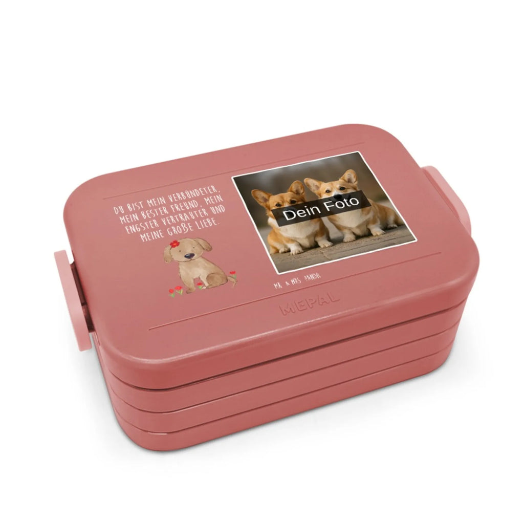 MEPAL Foto Bentobox Hund Dame Foto Bentobox, Foto Lunchbox, Foto Brotdose, Hund, Hundemotiv, Haustier, Hunderasse, Tierliebhaber, Hundebesitzer, Sprüche, Frauchen, Hundeliebe, Hundeglück, Hunde, Liebe