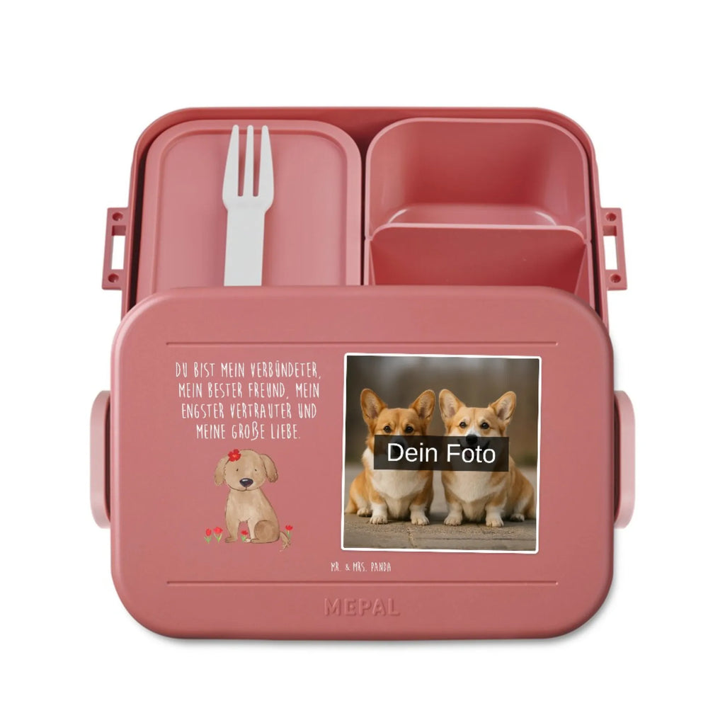 MEPAL Foto Bentobox Hund Dame Foto Bentobox, Foto Lunchbox, Foto Brotdose, Hund, Hundemotiv, Haustier, Hunderasse, Tierliebhaber, Hundebesitzer, Sprüche, Frauchen, Hundeliebe, Hundeglück, Hunde, Liebe