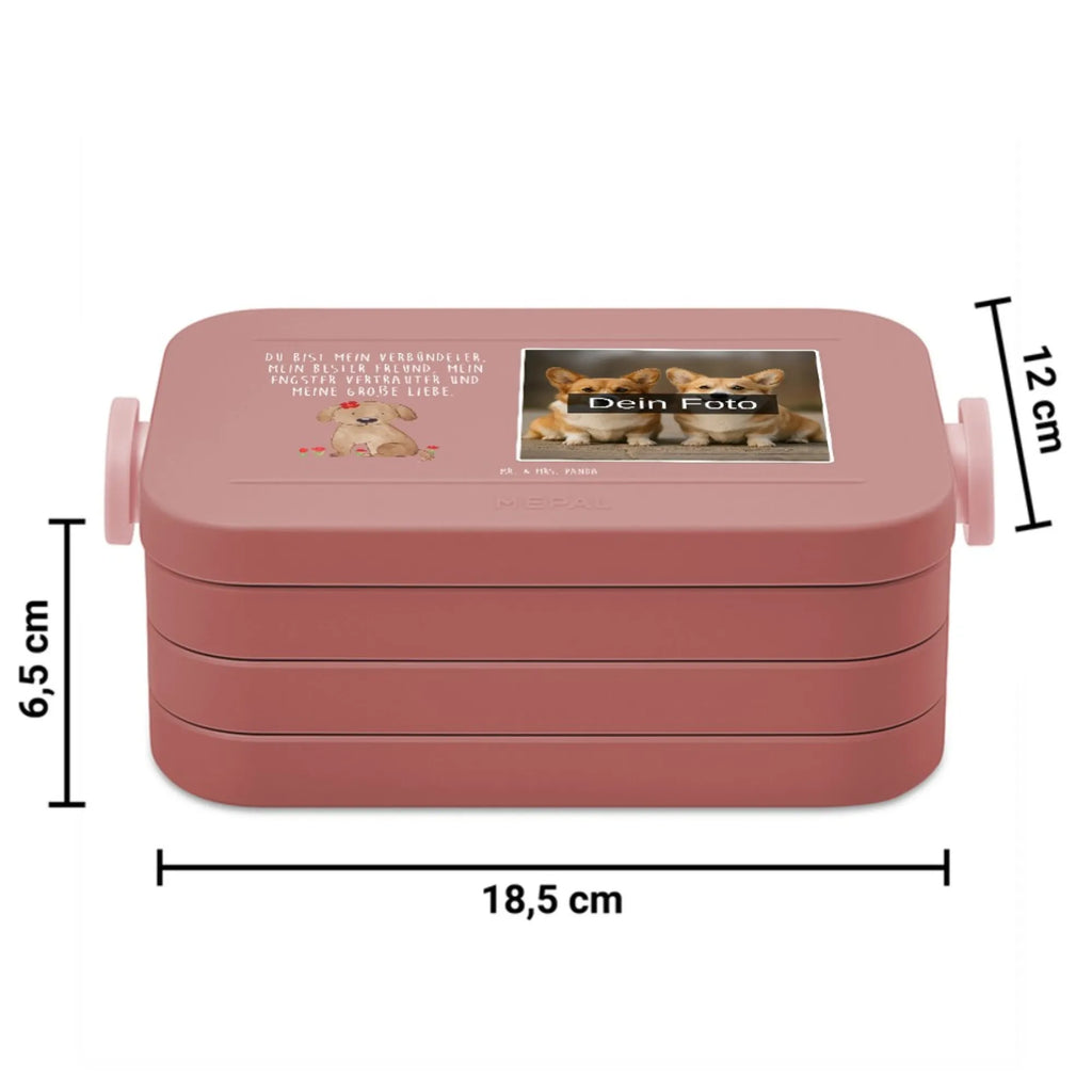 MEPAL Foto Bentobox Hund Dame Foto Bentobox, Foto Lunchbox, Foto Brotdose, Hund, Hundemotiv, Haustier, Hunderasse, Tierliebhaber, Hundebesitzer, Sprüche, Frauchen, Hundeliebe, Hundeglück, Hunde, Liebe