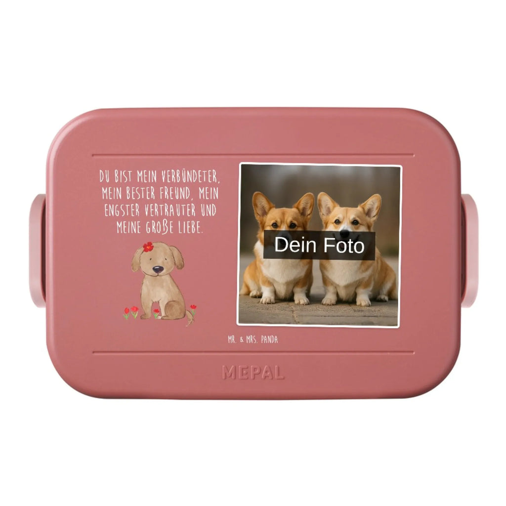 MEPAL Foto Bentobox Hund Dame Foto Bentobox, Foto Lunchbox, Foto Brotdose, Hund, Hundemotiv, Haustier, Hunderasse, Tierliebhaber, Hundebesitzer, Sprüche, Frauchen, Hundeliebe, Hundeglück, Hunde, Liebe