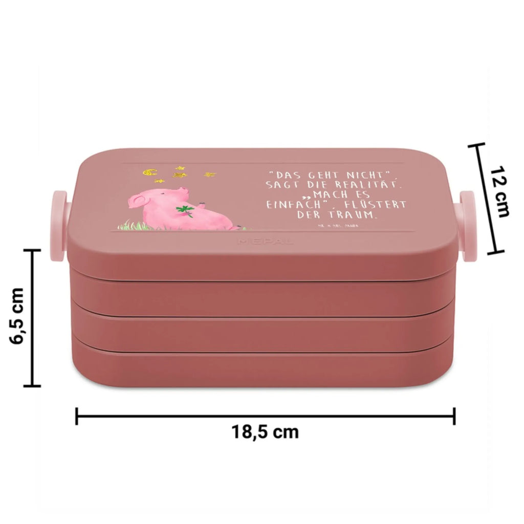 MEPAL Bentobox Schwein Glück Motiv Lunchbox, Brotdose, Bentobox, Tiermotive, Gute Laune, lustige Sprüche, Tiere, Ziele, Schweinchen, Sterne, Motivation, Glücksschwein. Glück, Sernchen, Träume, Glücksbringer, Schwein