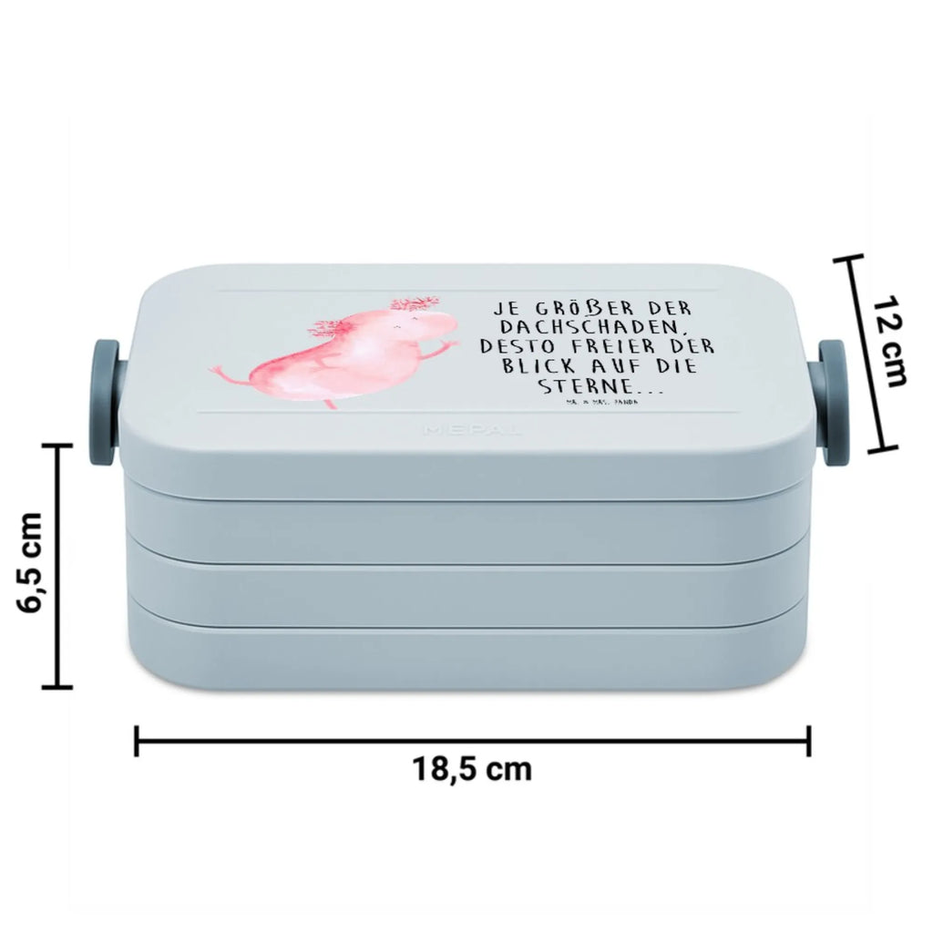 MEPAL Bentobox Axolotl Tanzen Motiv Lunchbox, Bentobox, Brotdose, Axolotl, Molch, Schwanzlurch, Axolot, Sterne, Lurch, beste Freundin, Dachschaden, Freundin, Lurche, verrückt