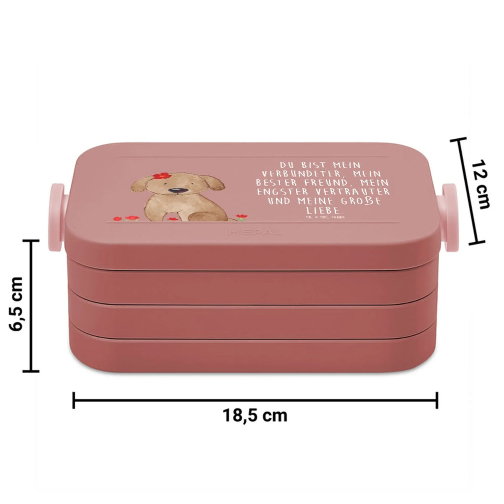 MEPAL Bentobox Hund Dame Motiv Lunchbox, Bentobox, Brotdose, Hund, Hundemotiv, Haustier, Hunderasse, Tierliebhaber, Hundebesitzer, Sprüche, Frauchen, Hunde, Liebe, Hundeglück, Hundeliebe