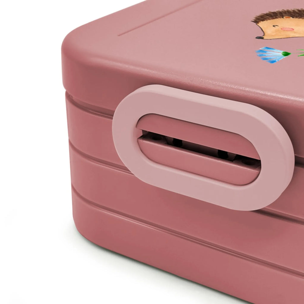 MEPAL Bentobox Igel Blumen Motiv Brotdose, Lunchbox, Bentobox, Tiermotive, Gute Laune, lustige Sprüche, Tiere, Krankenhaus, Gute Besserung, Besuch, Genesungswünsche, Krankheit, krank, Igel