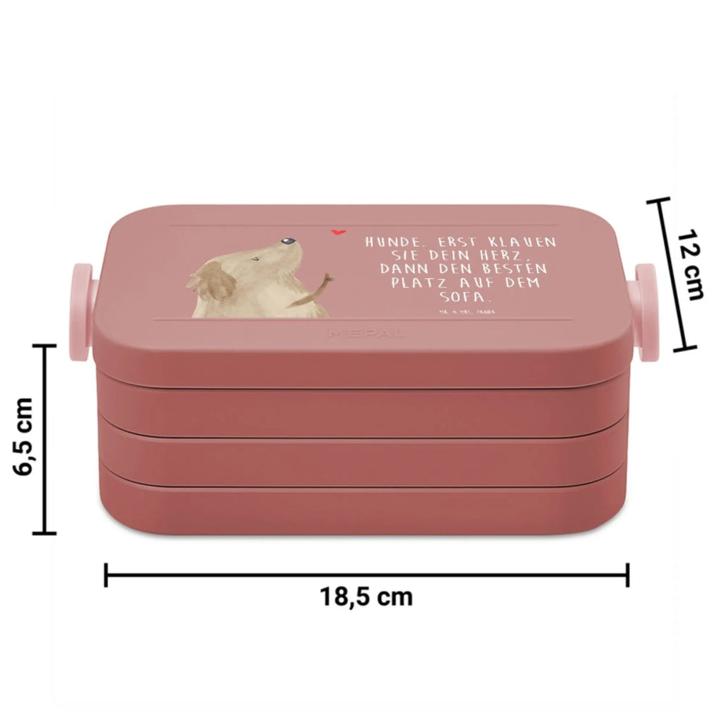MEPAL Bentobox Hund Liebe Motiv Brotdose, Bentobox, Lunchbox, Hund, Hundemotiv, Haustier, Hunderasse, Tierliebhaber, Hundebesitzer, Sprüche, Hundeliebe, Hundeglück, Liebe, Frauchen, Hunde