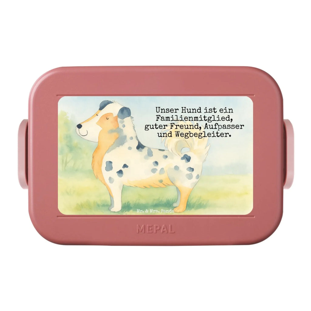 MEPAL Bentobox Hund Australien Shepherd Design Brotdose, Lunchbox, Bentobox, Hund, Hundemotiv, Haustier, Hunderasse, Tierliebhaber, Hundebesitzer, Sprüche, Australien Shepherd, Shepherd, Spruch, Hundeliebe, Familienhund