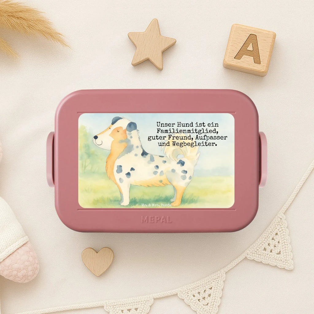 MEPAL Bentobox Hund Australien Shepherd Design Brotdose, Lunchbox, Bentobox, Hund, Hundemotiv, Haustier, Hunderasse, Tierliebhaber, Hundebesitzer, Sprüche, Australien Shepherd, Shepherd, Spruch, Hundeliebe, Familienhund