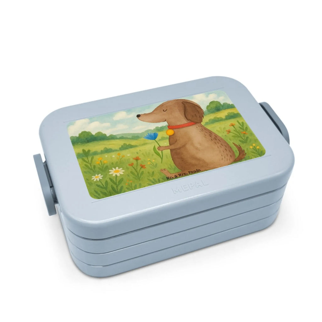 MEPAL Bentobox Hund Blume Design Brotdose, Bentobox, Lunchbox, Hund, Hundemotiv, Haustier, Hunderasse, Tierliebhaber, Hundebesitzer, Sprüche, Frauchen, Hundeliebe, Hunde