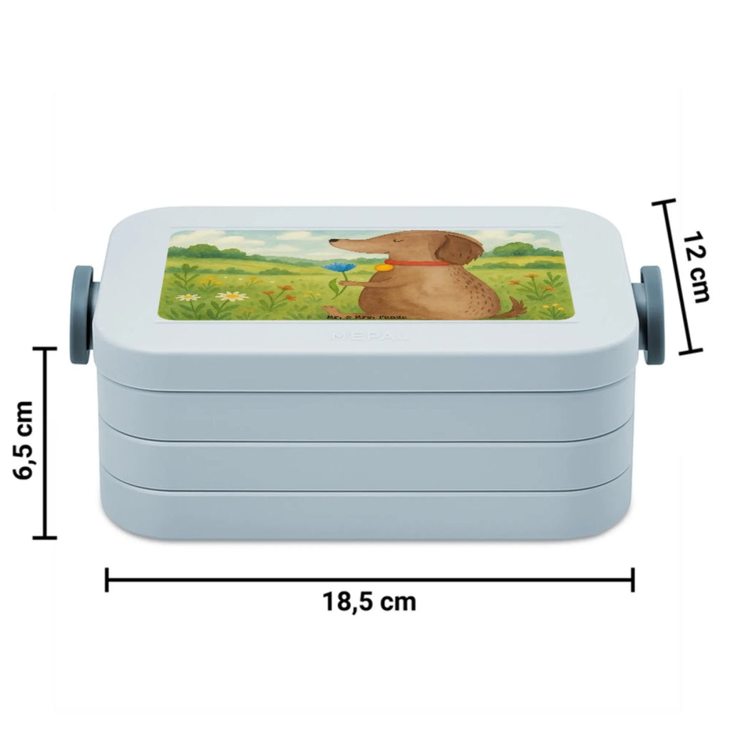 MEPAL Bentobox Hund Blume Design Brotdose, Bentobox, Lunchbox, Hund, Hundemotiv, Haustier, Hunderasse, Tierliebhaber, Hundebesitzer, Sprüche, Frauchen, Hundeliebe, Hunde