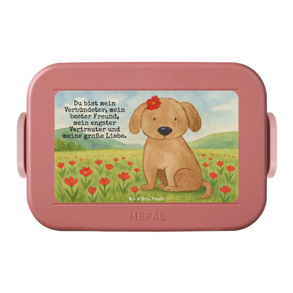 MEPAL Bentobox Hund Dame Design Brotdose, Bentobox, Lunchbox, Hund, Hundemotiv, Haustier, Hunderasse, Tierliebhaber, Hundebesitzer, Sprüche, Frauchen, Liebe, Hundeliebe, Hunde, Hundeglück