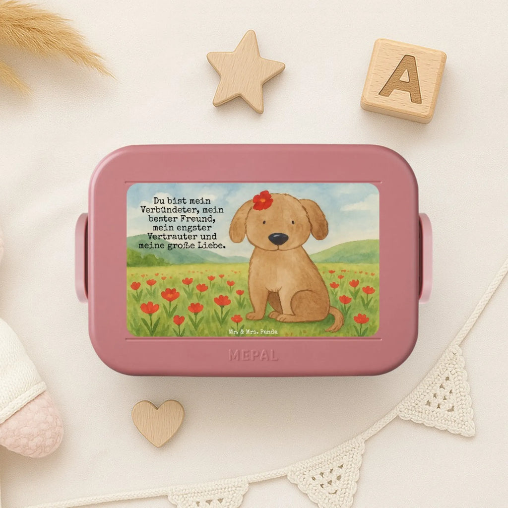 MEPAL Bentobox Hund Dame Design Brotdose, Bentobox, Lunchbox, Hund, Hundemotiv, Haustier, Hunderasse, Tierliebhaber, Hundebesitzer, Sprüche, Frauchen, Liebe, Hundeliebe, Hunde, Hundeglück