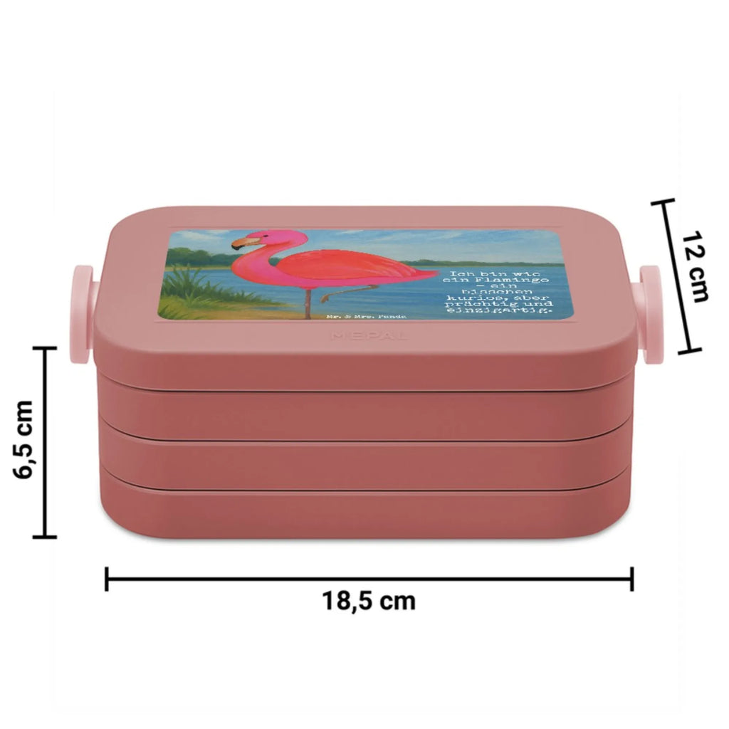 MEPAL Bentobox Flamingo Classic Design Brotdose, Lunchbox, Bentobox, Flamingo, Geschwister, Außenseiter, Freundinnen, Stolz, Einzigartig, ich, Freundin, für mich, Tochter, Spruch, Sohn, Selbstliebe