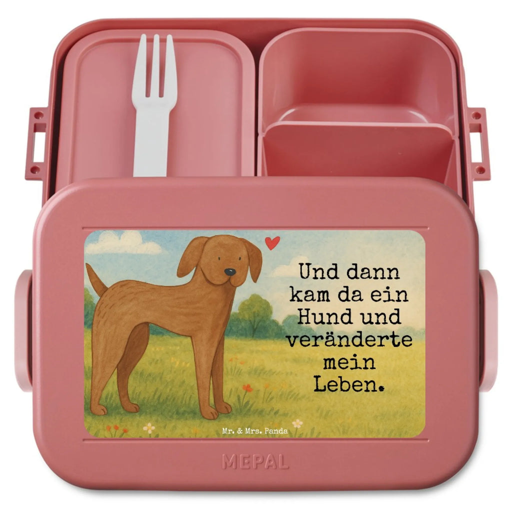 MEPAL Bentobox Hund Dogge Design Brotdose, Lunchbox, Bentobox, Hund, Hundemotiv, Haustier, Hunderasse, Tierliebhaber, Hundebesitzer, Sprüche, Dogge, Great Dane, Deutsche Dogge, Hunde