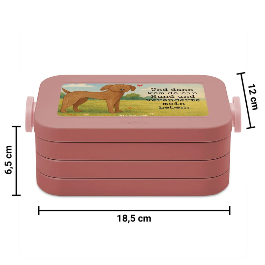 MEPAL Bentobox Hund Dogge Design Brotdose, Lunchbox, Bentobox, Hund, Hundemotiv, Haustier, Hunderasse, Tierliebhaber, Hundebesitzer, Sprüche, Dogge, Great Dane, Deutsche Dogge, Hunde
