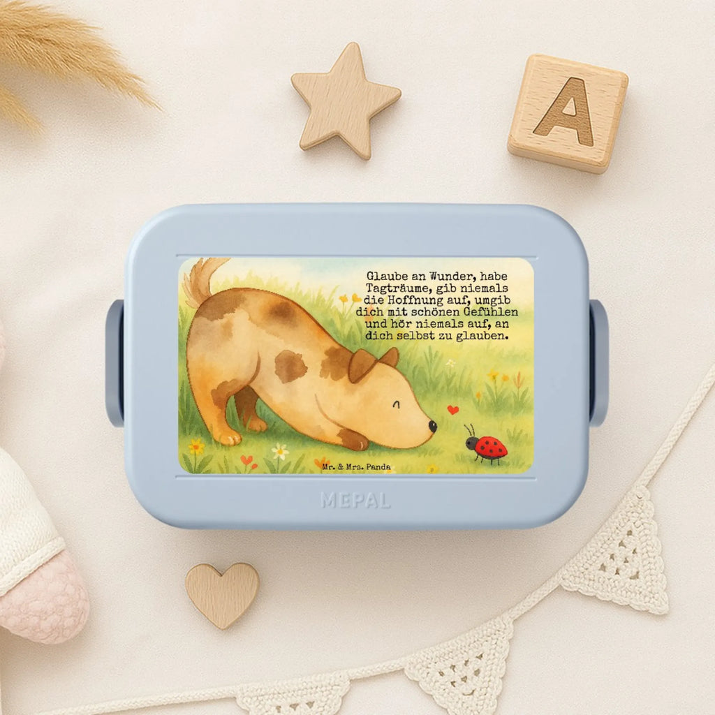 MEPAL Bentobox Hund Marienkäfer Design Brotdose, Bentobox, Lunchbox, Hund, Hundemotiv, Haustier, Hunderasse, Tierliebhaber, Hundebesitzer, Sprüche, Mischling, Mischlinghund, Hunde, Hundespruch, Marienkäfer
