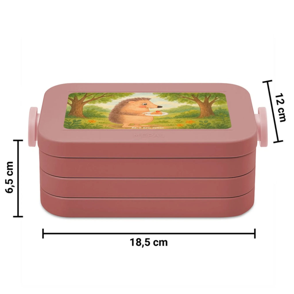 MEPAL Bentobox Igel Kuchenstück Design Brotdose, Bentobox, Lunchbox, Tiermotive, Gute Laune, lustige Sprüche, Tiere, Einladung Party, Geburtstagskuchen, Igel, Kuchen backen, Kuchen, Essen Spruch, Torte, Backen Geschenk
