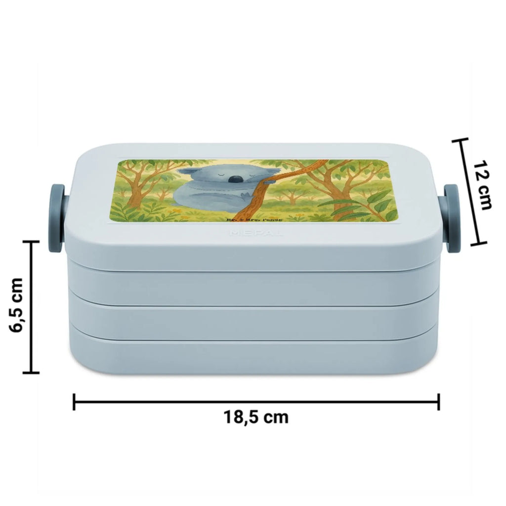MEPAL Bentobox Koalabär Design Brotdose, Bentobox, Lunchbox, Tiermotive, Gute Laune, lustige Sprüche, Tiere, Traumland, Koala, schlafen, Bär, Koalabär, träumen, Traum, Schlafzimmer