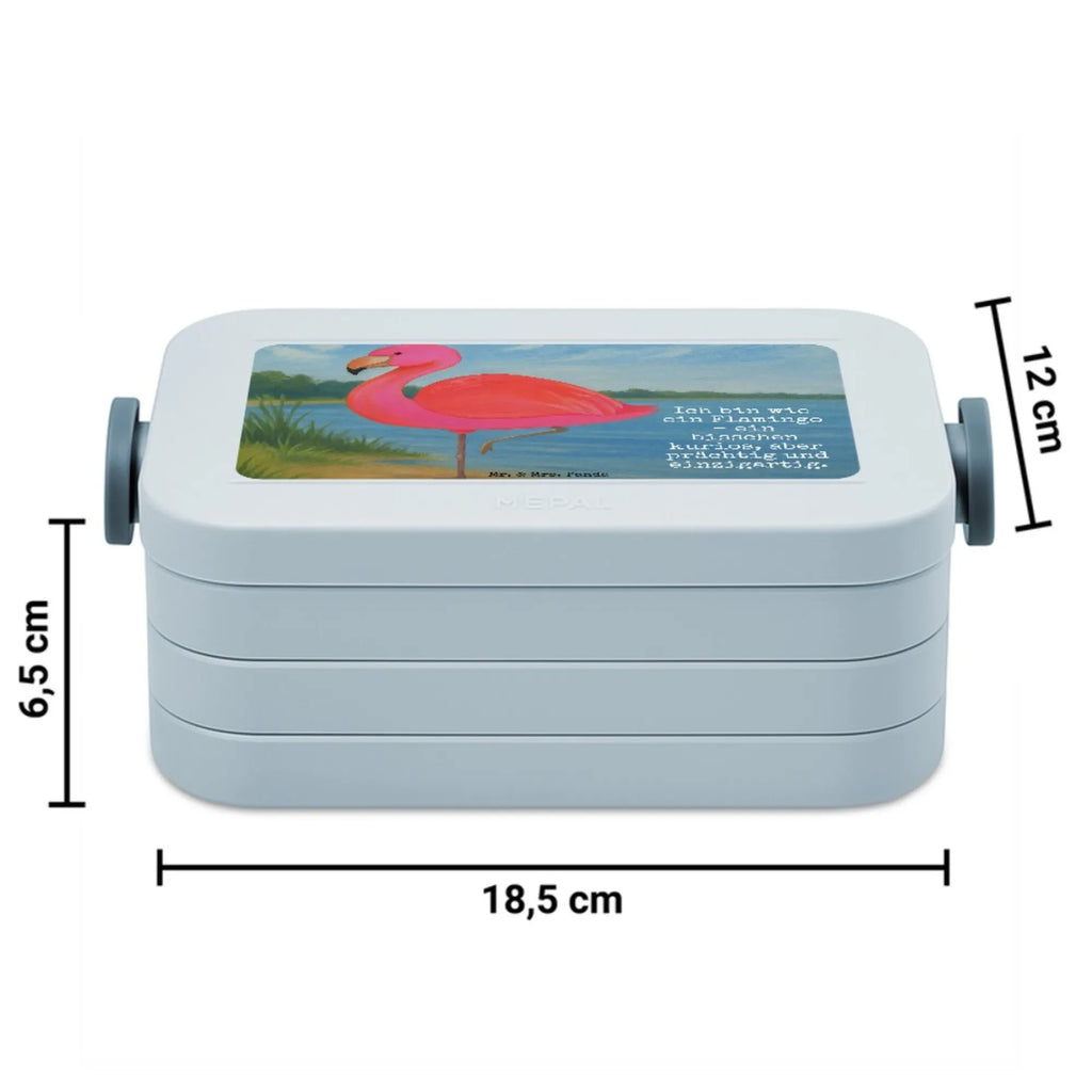 MEPAL Bentobox Flamingo Classic Design Brotdose, Lunchbox, Bentobox, Flamingo, Geschwister, Außenseiter, Freundinnen, Stolz, Einzigartig, ich, Freundin, für mich, Tochter, Spruch, Sohn, Selbstliebe