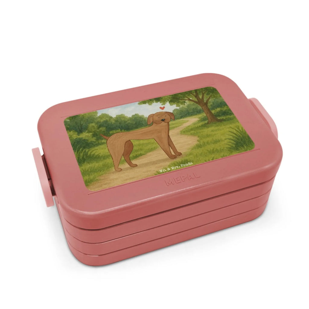 MEPAL Bentobox Hund Dogge Design Brotdose, Lunchbox, Bentobox, Hund, Hundemotiv, Haustier, Hunderasse, Tierliebhaber, Hundebesitzer, Sprüche, Dogge, Great Dane, Deutsche Dogge, Hunde