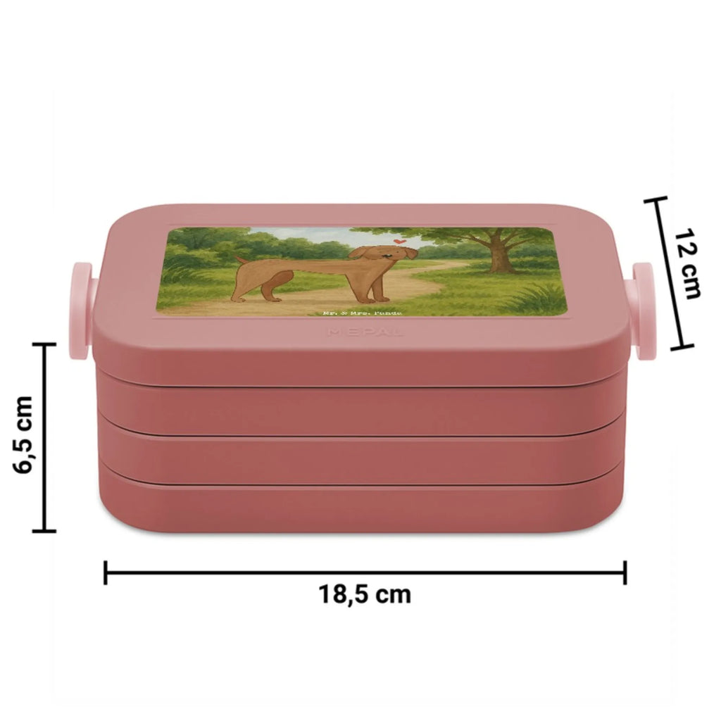 MEPAL Bentobox Hund Dogge Design Brotdose, Lunchbox, Bentobox, Hund, Hundemotiv, Haustier, Hunderasse, Tierliebhaber, Hundebesitzer, Sprüche, Dogge, Great Dane, Deutsche Dogge, Hunde