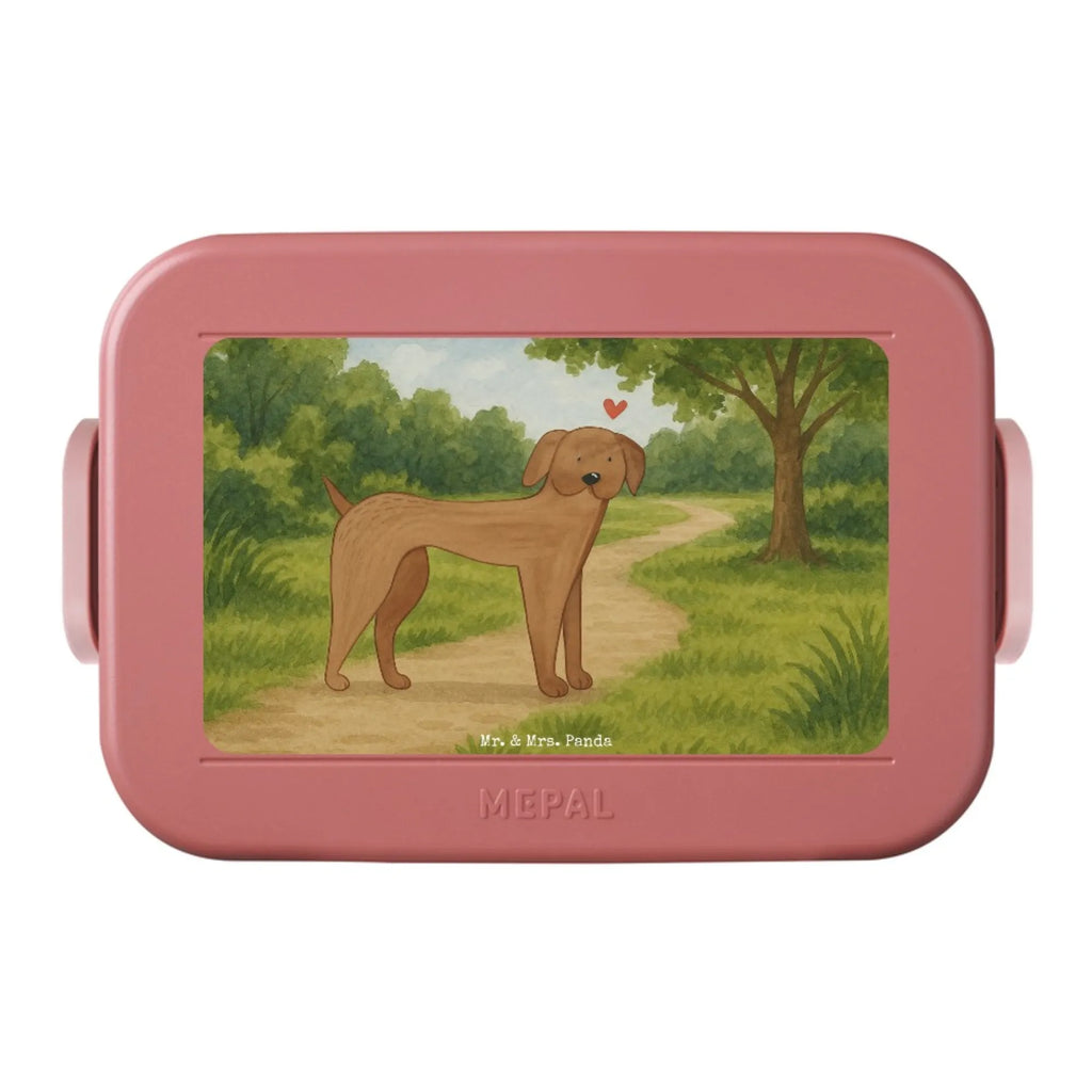 MEPAL Bentobox Hund Dogge Design Brotdose, Lunchbox, Bentobox, Hund, Hundemotiv, Haustier, Hunderasse, Tierliebhaber, Hundebesitzer, Sprüche, Dogge, Great Dane, Deutsche Dogge, Hunde