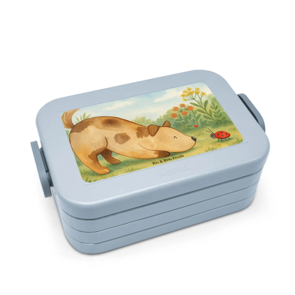 MEPAL Bentobox Hund Marienkäfer Design Brotdose, Bentobox, Lunchbox, Hund, Hundemotiv, Haustier, Hunderasse, Tierliebhaber, Hundebesitzer, Sprüche, Mischling, Mischlinghund, Hunde, Hundespruch, Marienkäfer
