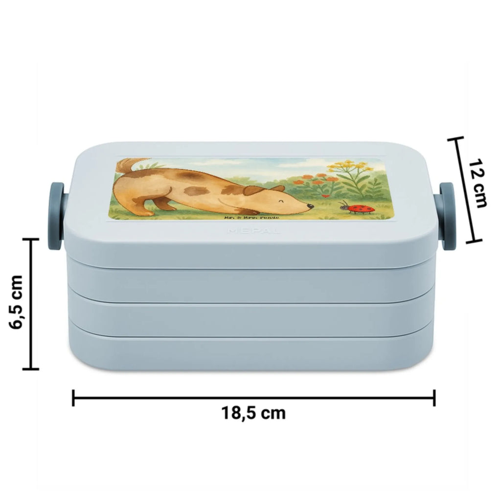 MEPAL Bentobox Hund Marienkäfer Design Brotdose, Bentobox, Lunchbox, Hund, Hundemotiv, Haustier, Hunderasse, Tierliebhaber, Hundebesitzer, Sprüche, Mischling, Mischlinghund, Hunde, Hundespruch, Marienkäfer
