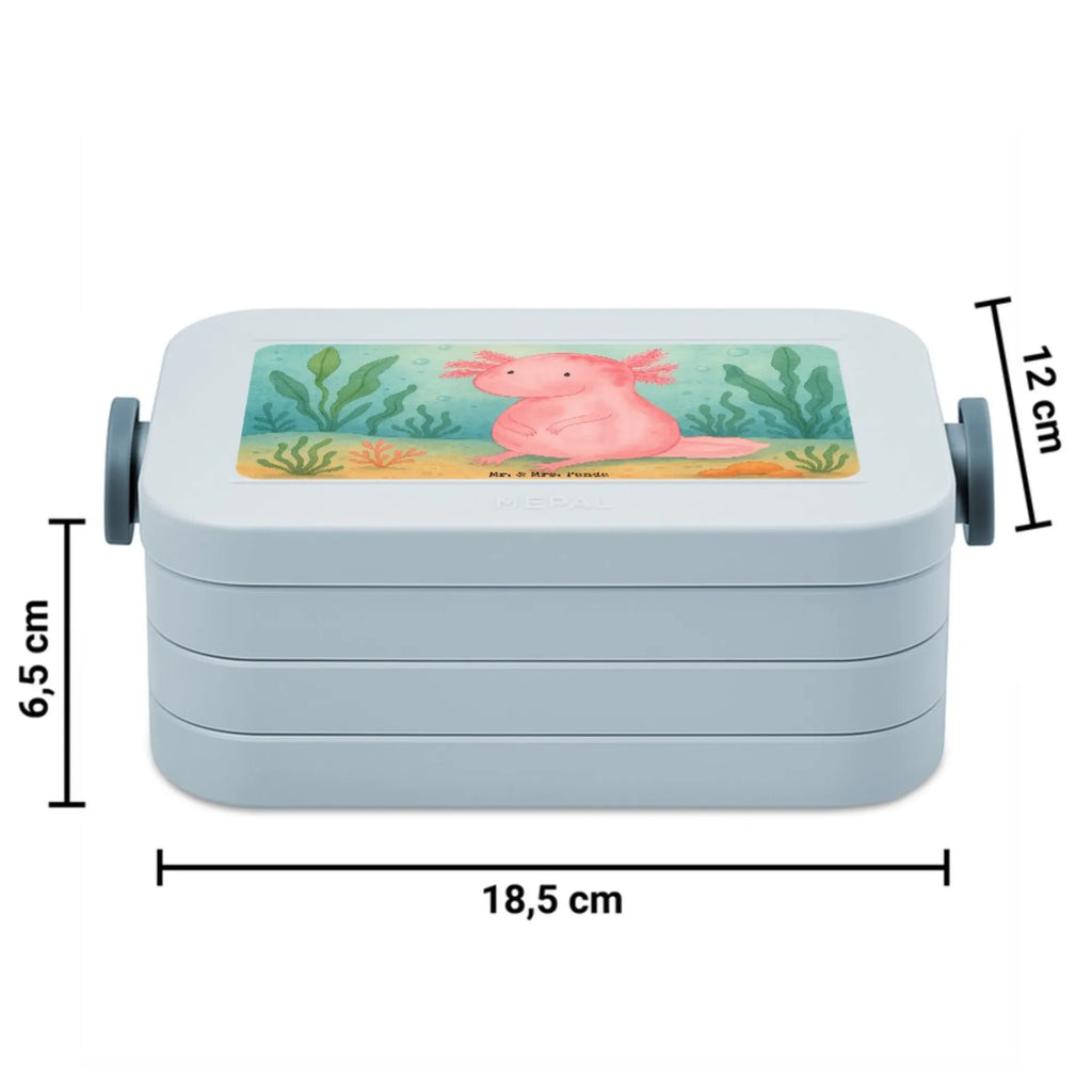 MEPAL Bentobox Axolotl Niedlich Design Bentobox, Lunchbox, Brotdose, Axolotl, Molch, fröhlich, vergnügt, zufrieden, Weisheit, Lebensweisheit, Liebe, Axolot, Lebensstil, Freundin