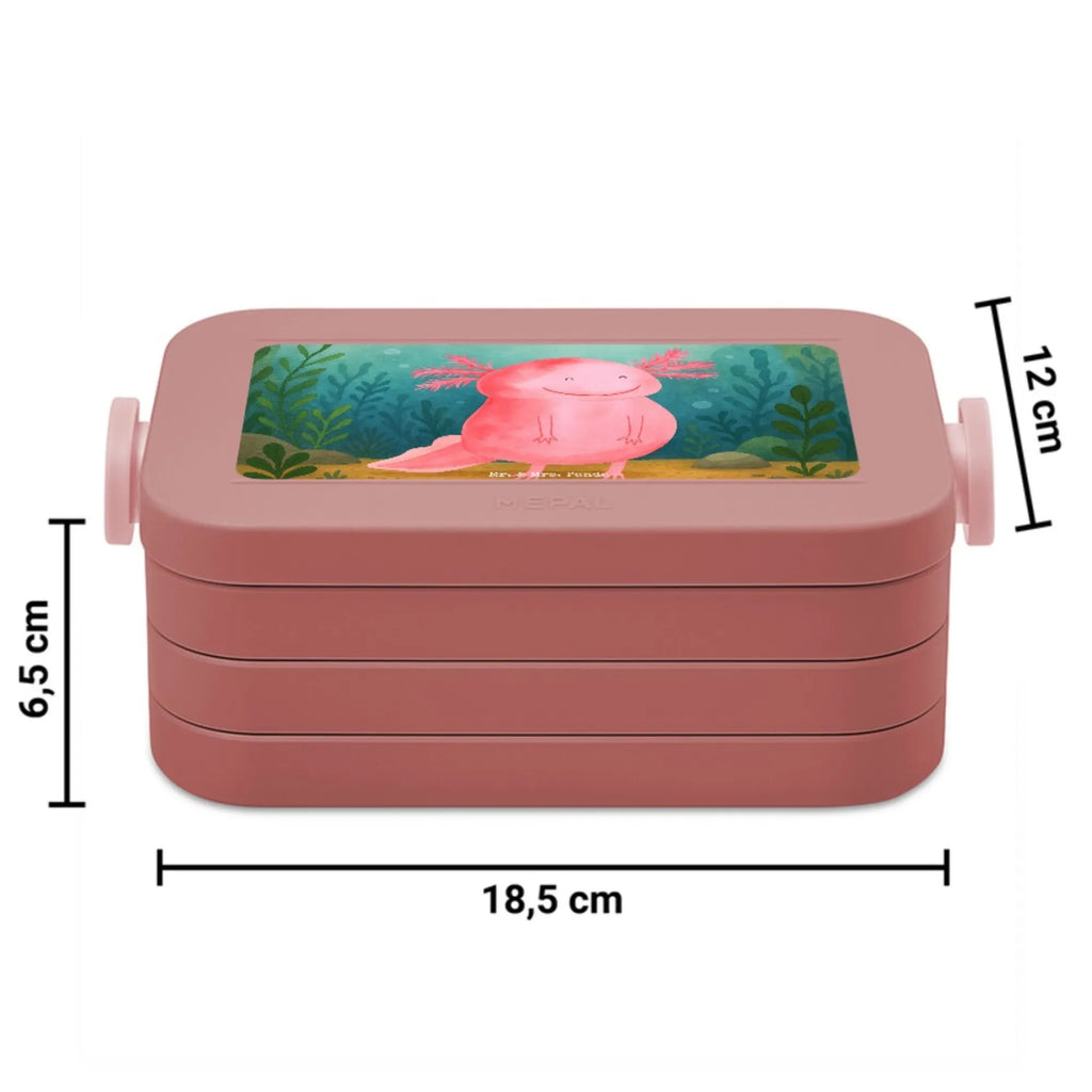 MEPAL Bentobox Axolotl Glücklich Design Lunchbox, Brotdose, Bentobox, Axolotl, Molch, Lurch, Motivation, Lurche, Schwanzlurch, gute Laune, Axolot