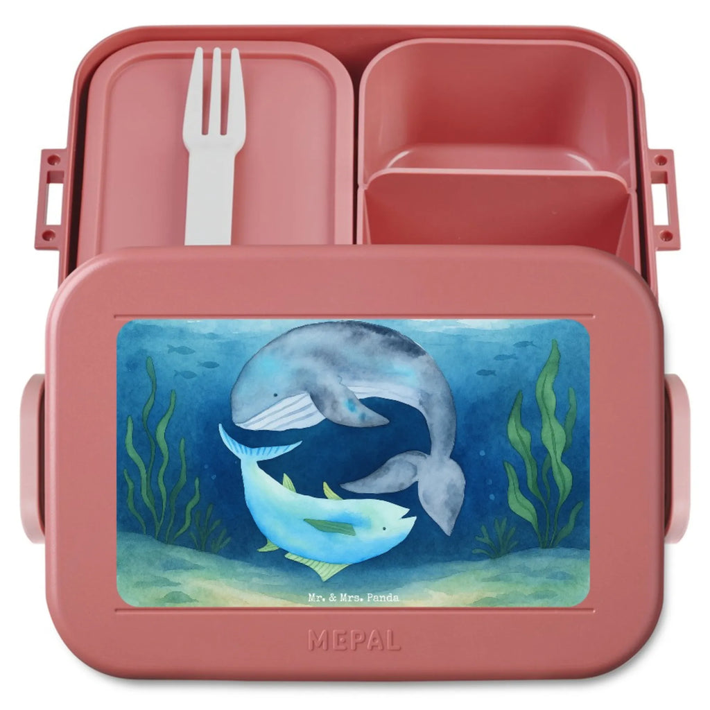 MEPAL Bentobox Walfisch Thunfisch Design Brotdose, Lunchbox, Bentobox, Tiermotive, Gute Laune, lustige Sprüche, Tiere, Wahl, Witz, Wortwitz lustig, Wal, Flachwitz Geschenk, Flachwitz, Spruch lustig, Spruch des Tages, Tunfisch
