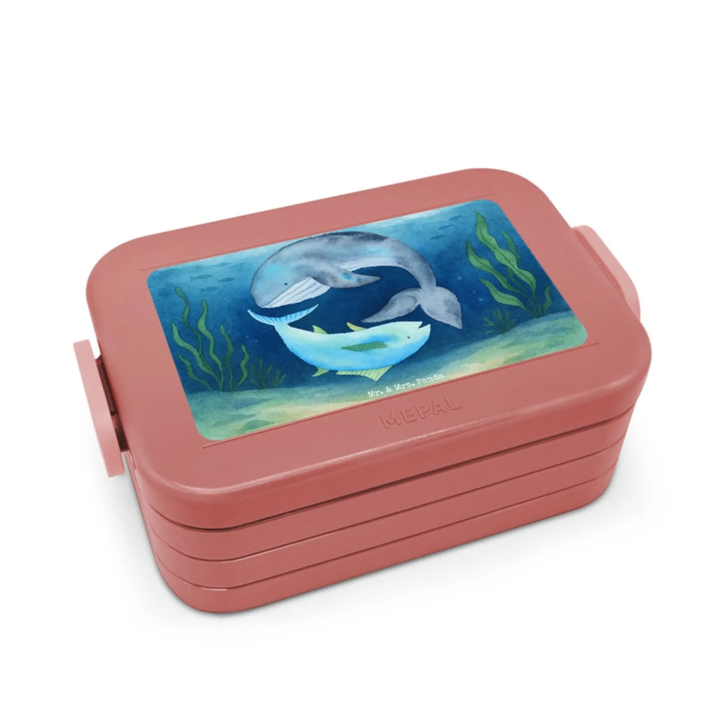 MEPAL Bentobox Walfisch Thunfisch Design Brotdose, Lunchbox, Bentobox, Tiermotive, Gute Laune, lustige Sprüche, Tiere, Wahl, Witz, Wortwitz lustig, Wal, Flachwitz Geschenk, Flachwitz, Spruch lustig, Spruch des Tages, Tunfisch