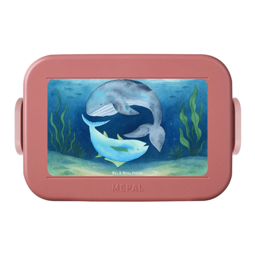 MEPAL Bentobox Walfisch Thunfisch Design Brotdose, Lunchbox, Bentobox, Tiermotive, Gute Laune, lustige Sprüche, Tiere, Wahl, Witz, Wortwitz lustig, Wal, Flachwitz Geschenk, Flachwitz, Spruch lustig, Spruch des Tages, Tunfisch