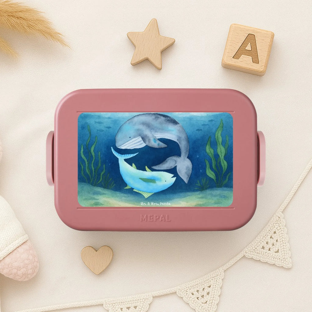 MEPAL Bentobox Walfisch Thunfisch Design Brotdose, Lunchbox, Bentobox, Tiermotive, Gute Laune, lustige Sprüche, Tiere, Wahl, Witz, Wortwitz lustig, Wal, Flachwitz Geschenk, Flachwitz, Spruch lustig, Spruch des Tages, Tunfisch