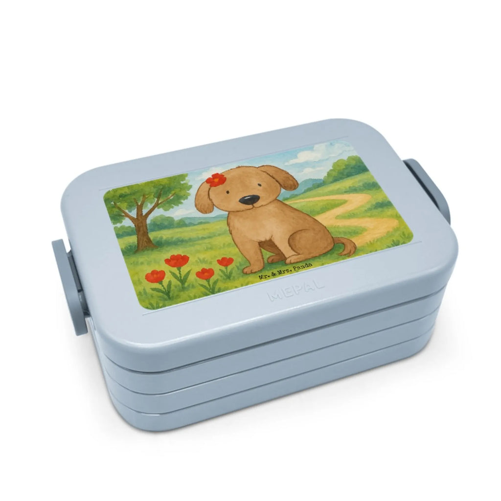 MEPAL Bentobox Hund Dame Design Brotdose, Bentobox, Lunchbox, Hund, Hundemotiv, Haustier, Hunderasse, Tierliebhaber, Hundebesitzer, Sprüche, Frauchen, Liebe, Hundeliebe, Hunde, Hundeglück