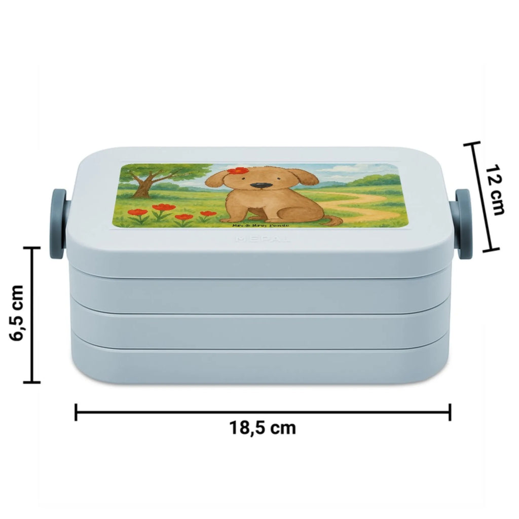 MEPAL Bentobox Hund Dame Design Brotdose, Bentobox, Lunchbox, Hund, Hundemotiv, Haustier, Hunderasse, Tierliebhaber, Hundebesitzer, Sprüche, Frauchen, Liebe, Hundeliebe, Hunde, Hundeglück