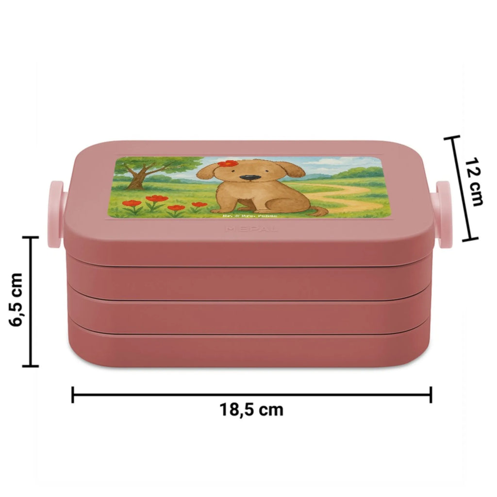 MEPAL Bentobox Hund Dame Design Brotdose, Bentobox, Lunchbox, Hund, Hundemotiv, Haustier, Hunderasse, Tierliebhaber, Hundebesitzer, Sprüche, Frauchen, Liebe, Hundeliebe, Hunde, Hundeglück