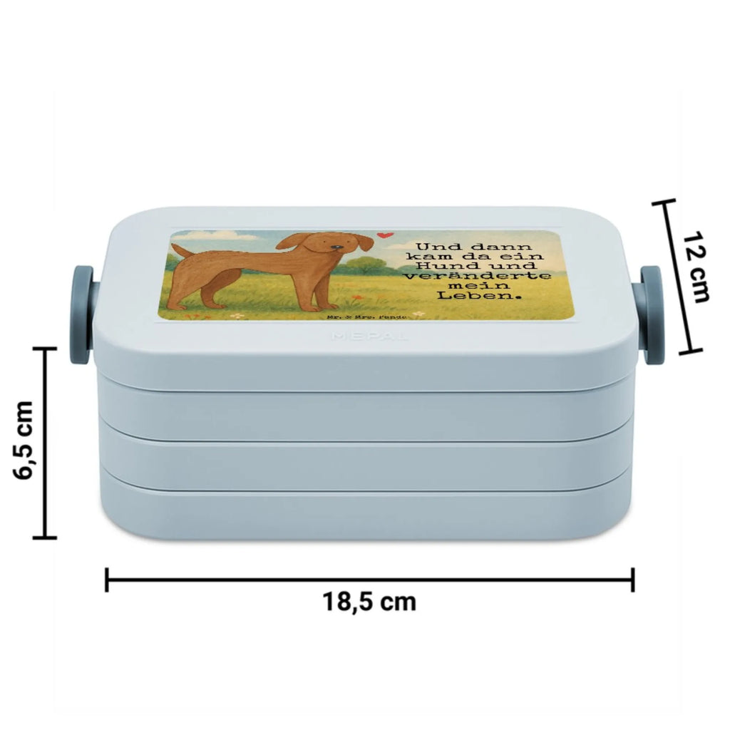 MEPAL Bentobox Hund Dogge Design Brotdose, Lunchbox, Bentobox, Hund, Hundemotiv, Haustier, Hunderasse, Tierliebhaber, Hundebesitzer, Sprüche, Dogge, Great Dane, Deutsche Dogge, Hunde