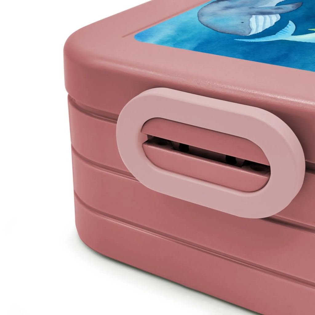 MEPAL Bentobox Walfisch Thunfisch Design Brotdose, Lunchbox, Bentobox, Tiermotive, Gute Laune, lustige Sprüche, Tiere, Wahl, Witz, Wortwitz lustig, Wal, Flachwitz Geschenk, Flachwitz, Spruch lustig, Spruch des Tages, Tunfisch